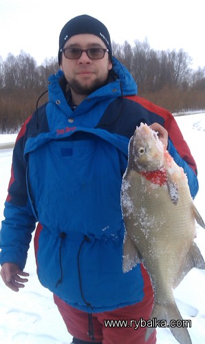 Зимняя рыбалка 2014 Фото №3