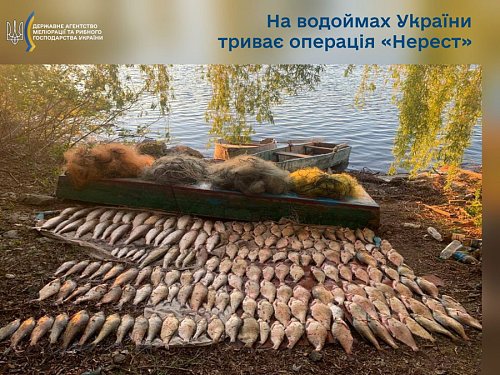 На водоймах України триває операція ''Нерест'' Фото №2