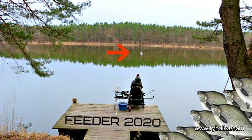 Фідер, відкриття риболовного сезону. Рибалка 2020 рік, озеро Майдан Фото №3