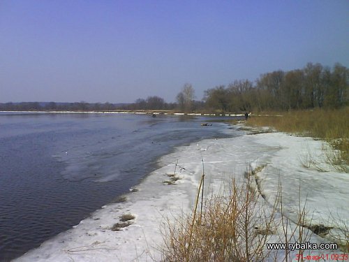 Река ДЕСНА .Фидер Фото №6