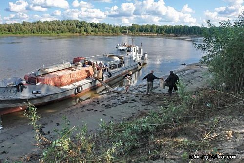 Отдых на сибирской реке Чулым - август 2008 Фото №6