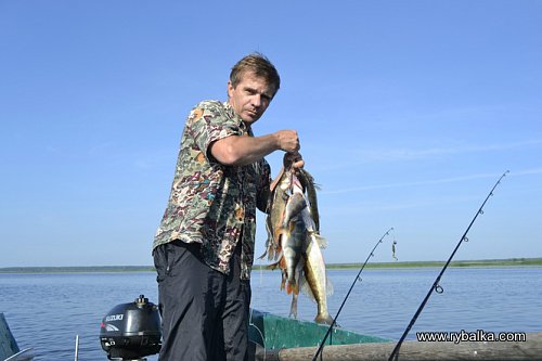 Мои рыбалки 2011. Фото №2