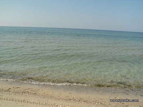 Лето, море и песок Фото №3