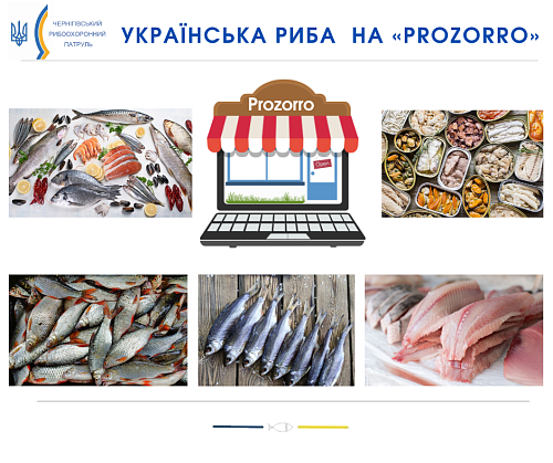Держрибагенство запрошує національних виробників риби та рибної продукції до співпраці на «Prozorro» Фото №1