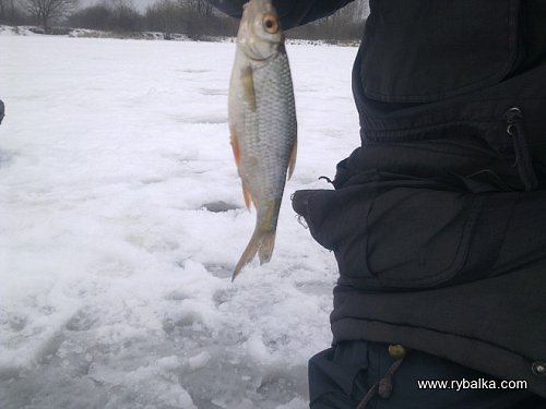 На календаре весна, а зимняя рыбалка Фото №4