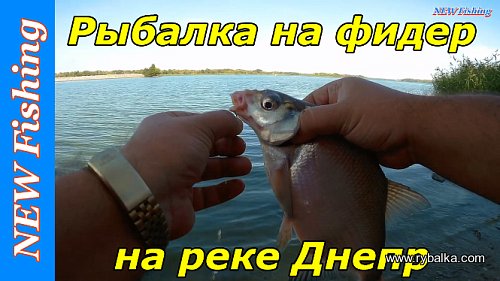 Рыбалка на фидер на реке Днепр Фото №6