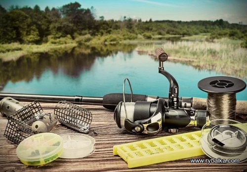 З 25 травня відкривається сезон рибальства на  річках Дніпро та Сож Фото №6