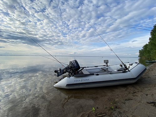 Продам надувную лодку 330 с мотором Тохатсу 18 и лафетом Фото №9