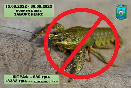 З 15 серпня заборонено вилов раків у водоймах Сумської області Фото №5