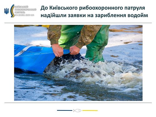 До Київського рибоохоронного патруля надійшли заявки на зариблення водойм Фото №1