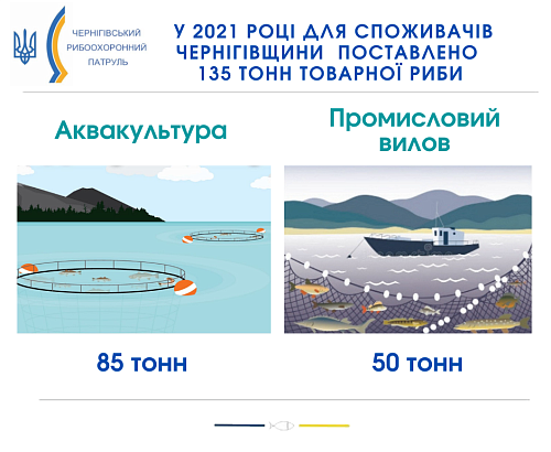 У 2021 році суб’єктами рибної галузі Чернігівщини поставлено на споживчі ринки 135 тонн товарної риби Фото №4