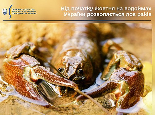 Від початку жовтня на водоймах України дозволяється лов раків Фото №4